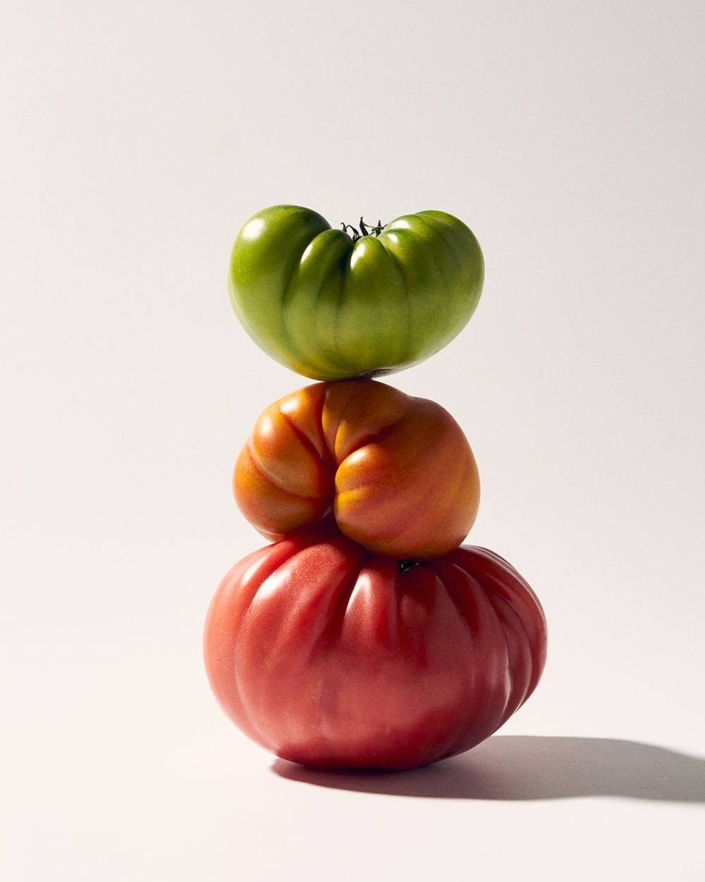 Still Life with Tomatoes