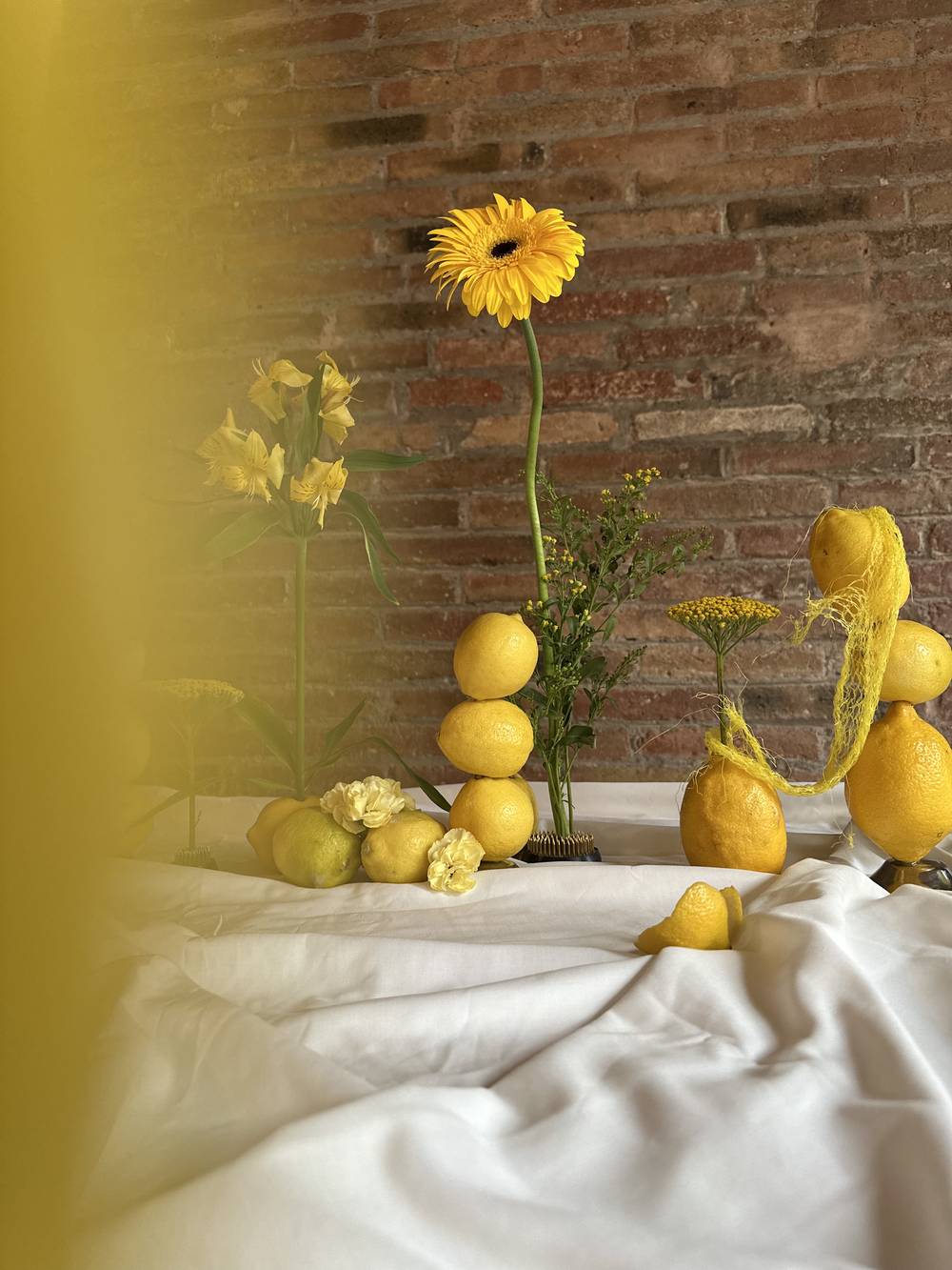 Yellow Rhythm gallery image 9